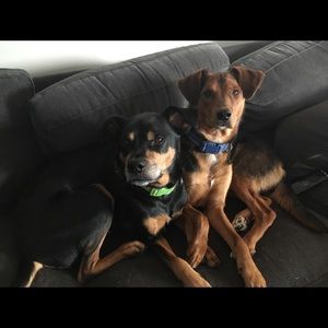 Meet your Posher, Christina